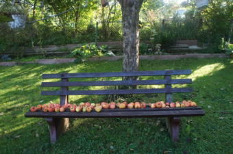 Hostal Haus Sonnenschein