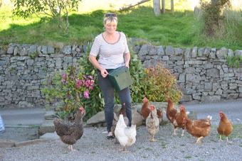 Bed & Breakfast Airds Farm B & B