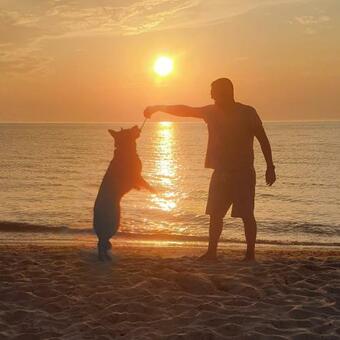 Apartamento Studio Mei�ner - Parkresidenz Dierhagen