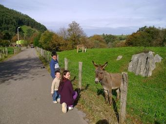Apartamentos Los Acebos De Pe�a Cabarga