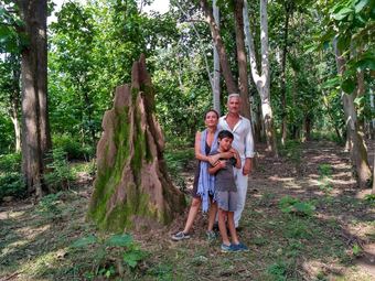 Hotel Jim's Jungle Retreat