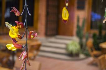 Bed & Breakfast Blue Mayan Hotel