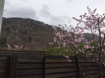Hotel Kinwaso