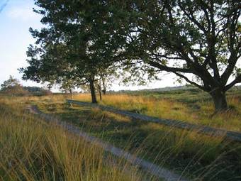 Hostal Haus Witten H�hen