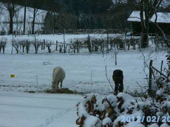 Holiday Home Kalterherberg Kalterherberg I