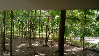 Hotel Forest Village Holiday Homes