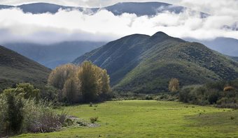 Pat Busch Mountain Reserve