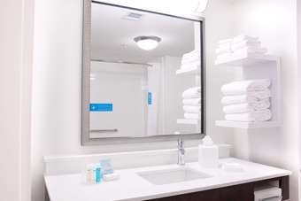 Hotel Hampton Inn Big Rapids