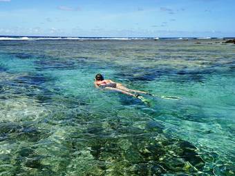 Papaya Villa Vanuatu