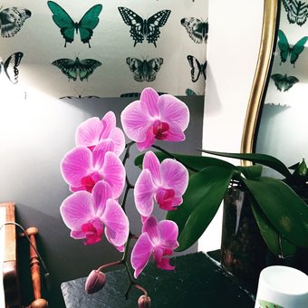 Hotel La Guini�re Chambres D'h�tes