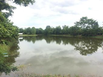 Hotel Baan Suan Chiva Saran