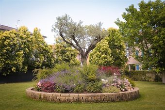 Ausonia Hotel Ristorante