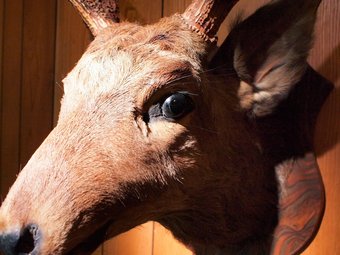 Hostal Shiretoko Hostel Hanare