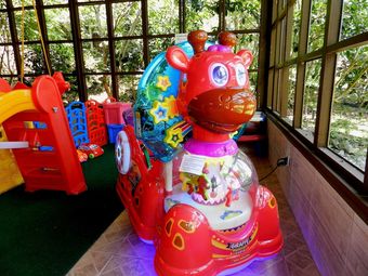 Hotel Bosques Do Massagua�u