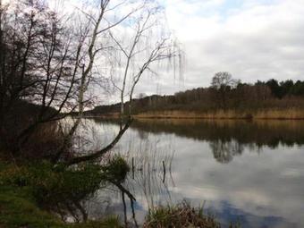 Ferienhaus An Der Spree