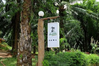 Hotel Tonpalm Farmstay