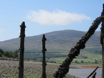 The Birds Nest B&B