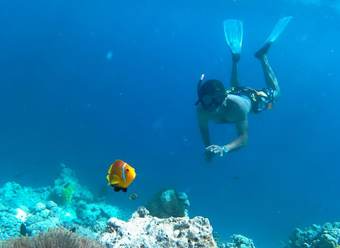 Hotel Equity Beach Inn