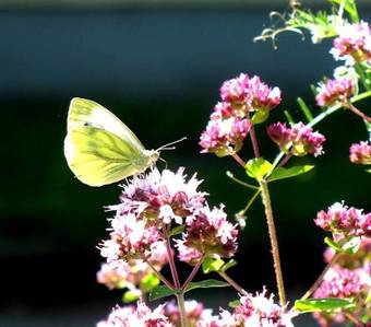 Hotel Fit Freizeit-integration-tagung