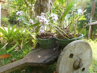 Posada Pousada & Camping Serras Verdes