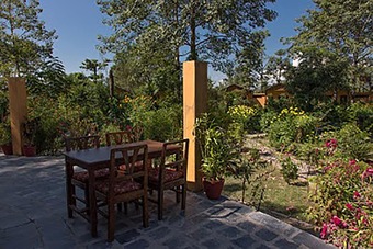 Hotel Island Jungle Resort