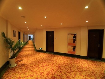 Greentree Inn Jiuhua Moutain Qingyang Bus Station Express Hotel