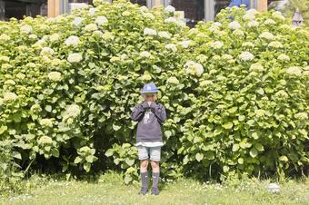 Cabana Ferntownlodge