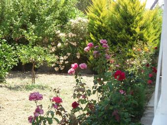 Aparthotel Studio Stars 1