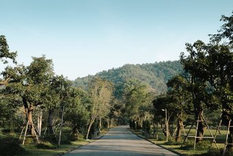 Hotel Canary Natural Resort