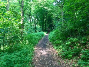 Posada Melbury Lodge