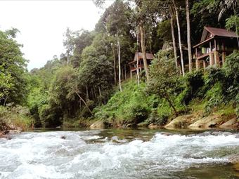 Hotel Khaosok Rainforest Resort