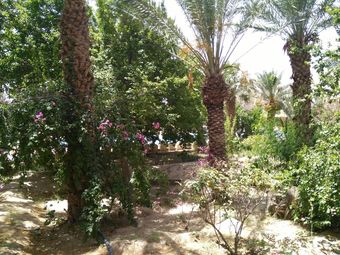 Apartamento Hotel Jugurtha Palace