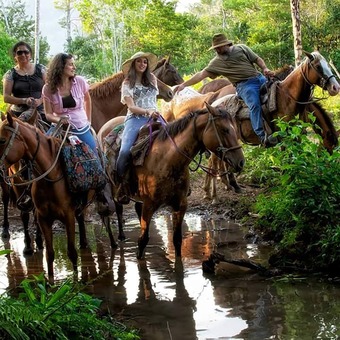 Posada Martz Farm Treehouses & Cabanas