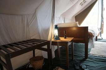 Tigertops Elephant Camp