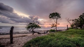 Hotel Cabinas Las Olas