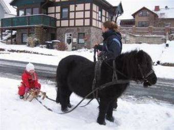 Feriendorf Natur Pur I