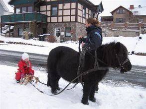 Feriendorf Natur Pur VI