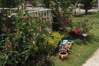 Hotel Sweet Mango Resort