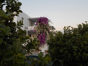 Aparthotel Dahlia Apartments And Studios