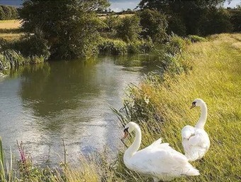 Bed & Breakfast Hillside Holiday Cottages