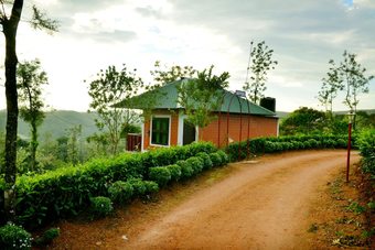 Hotel Green Hill Estate