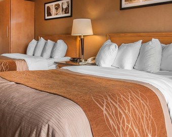 Hotel Comfort Inn Dryden