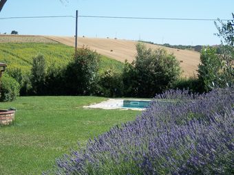 Apartamento Coltorto