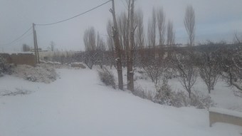 Agroturismo G�te Ferme Dar Raho