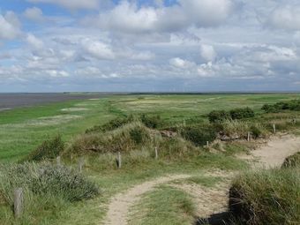 Apartamentos Ferienwohnung Heefwai 2 "w6"