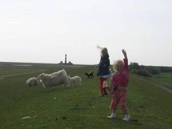 Ferienkate Kap Eiderstedt