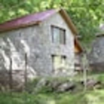 Tal?stan Forest Park