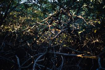 Casa Ambar Boutique Hotel Tulum - Adults Only