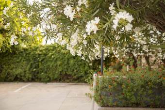 Apartamento Villa Fratelli Vivaldi