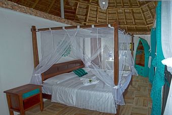 Hotel Iris Island Eco Resort